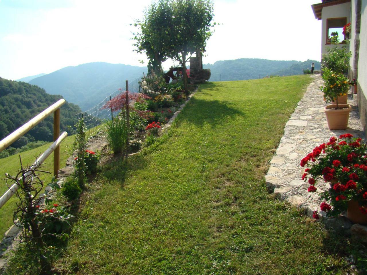 Apartmaji Nena Rocinj Zewnętrze zdjęcie